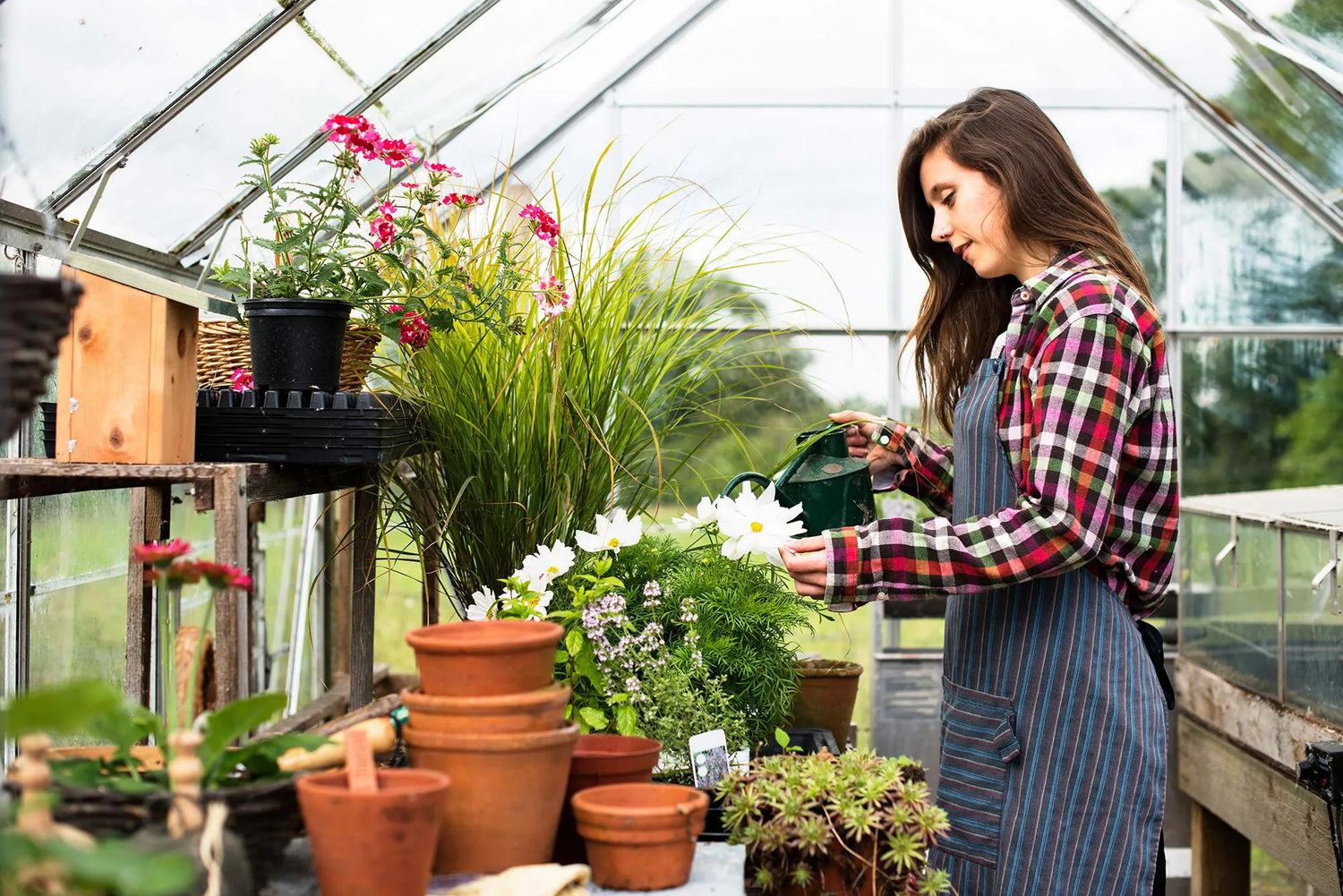 Frau gießt Pflanzen im Gewächshaus mit Gießkanne – gesundes Wachstum durch Osmosewasser